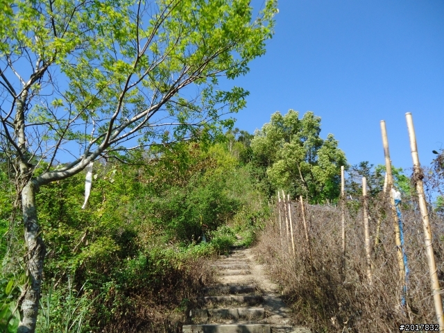 2012-3-5~3-6台21線部落之旅(麟趾山-望美山)馬奴多斯獵人古道