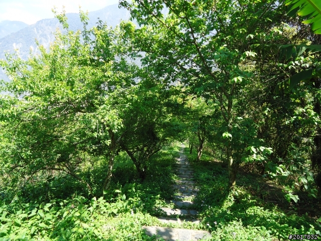 2012-3-5~3-6台21線部落之旅(麟趾山-望美山)馬奴多斯獵人古道