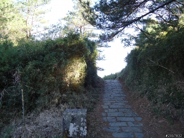 2012-3-5~3-6台21線部落之旅(麟趾山-望美山)馬奴多斯獵人古道