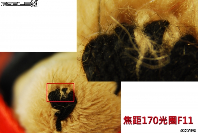 [開箱+測試] Kenko MC4 DGX 2X 增距鏡 2倍加倍鏡