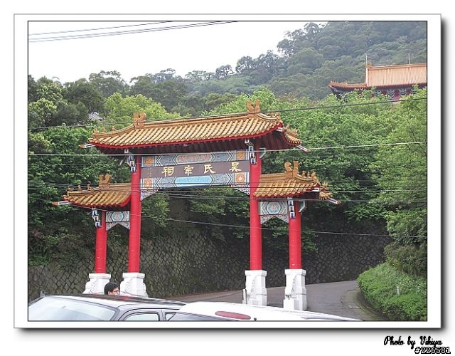 北投大屯里復興三路櫻花之旅...殘念