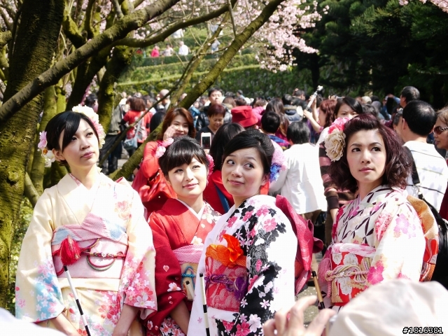 2012.03.15天元宮櫻花