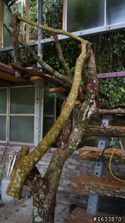  DIY簡單蓋鋼構木屋