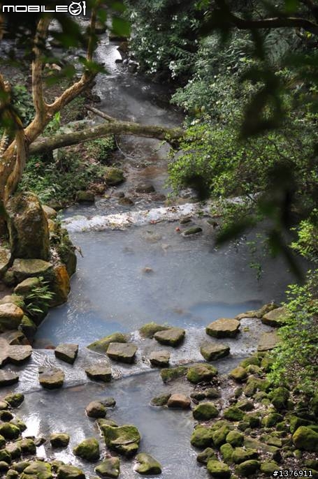 陽明山花季賞花趣(感謝小郁同學伴遊)