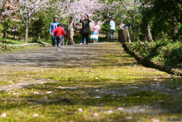 3月17~18~高雄→阿里山