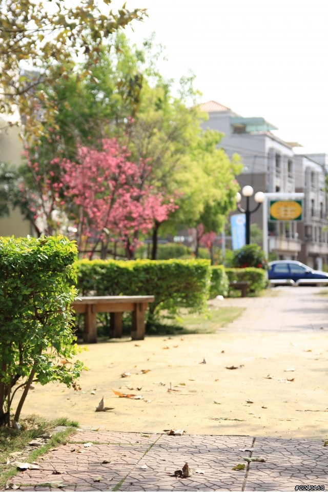 SIGAMA17-50好久沒人蓋大樓了