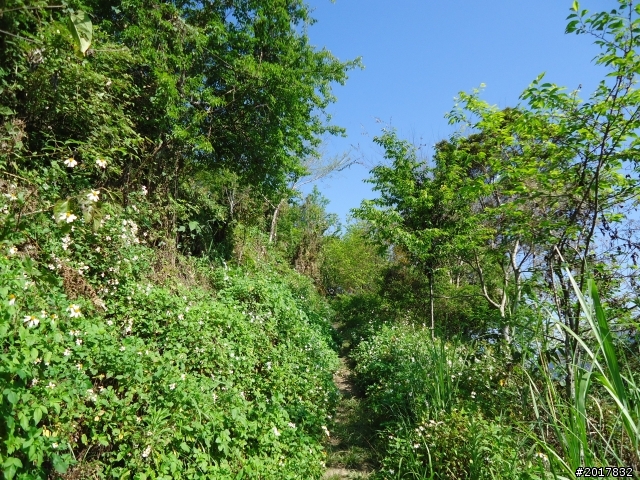 2012-3-5~3-6台21線部落之旅(麟趾山-望美山)馬奴多斯獵人古道