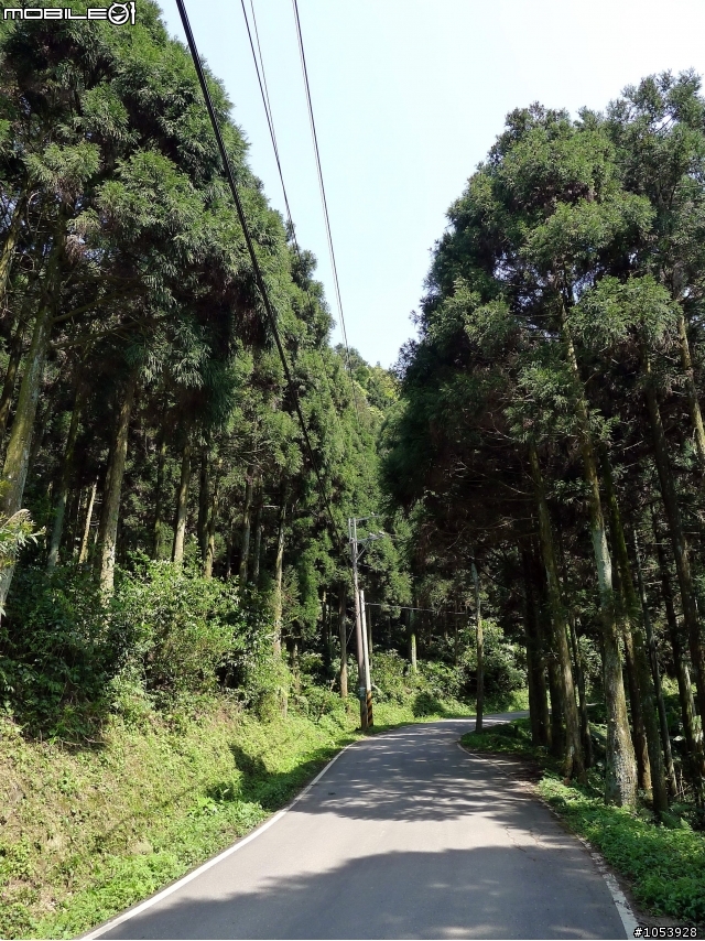 三峽熊空春遊記