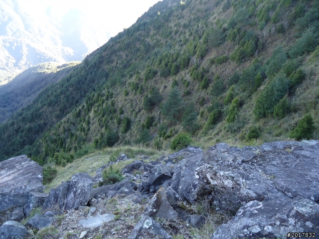 2012-3-5~3-6台21線部落之旅(麟趾山-望美山)馬奴多斯獵人古道