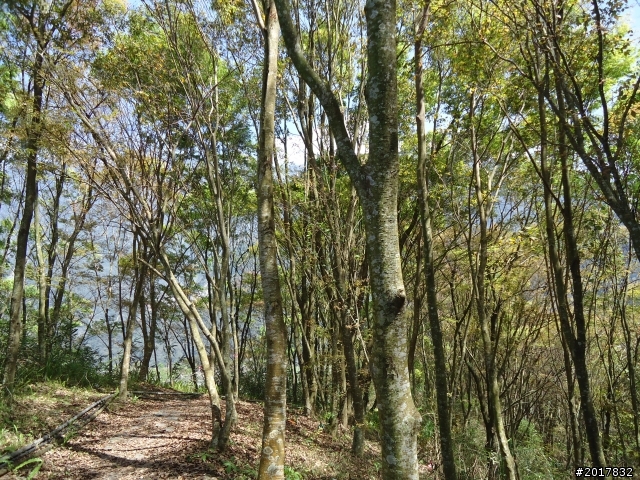 2012-3-5~3-6台21線部落之旅(麟趾山-望美山)馬奴多斯獵人古道
