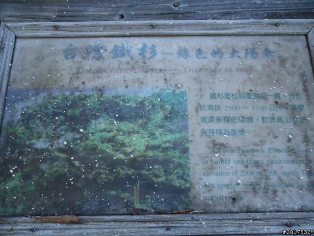 2012-3-5~3-6台21線部落之旅(麟趾山-望美山)馬奴多斯獵人古道