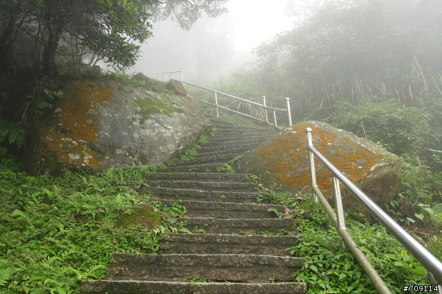 [ 郊山 ] 大尖山順走四分尾山之殘櫻行