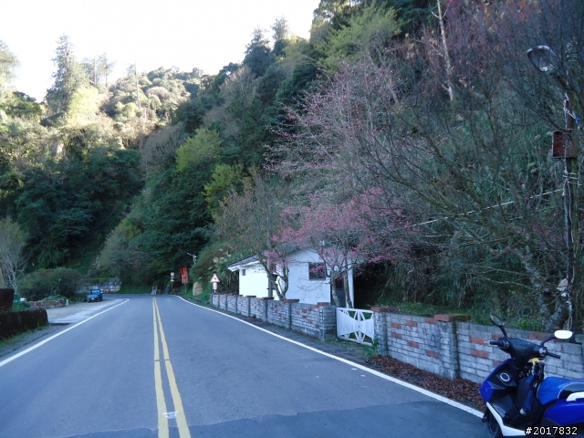 2012-3-5~3-6台21線部落之旅(麟趾山-望美山)馬奴多斯獵人古道