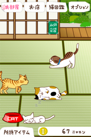 [軟體推薦]《猫の大家さん》超萌養成遊戲