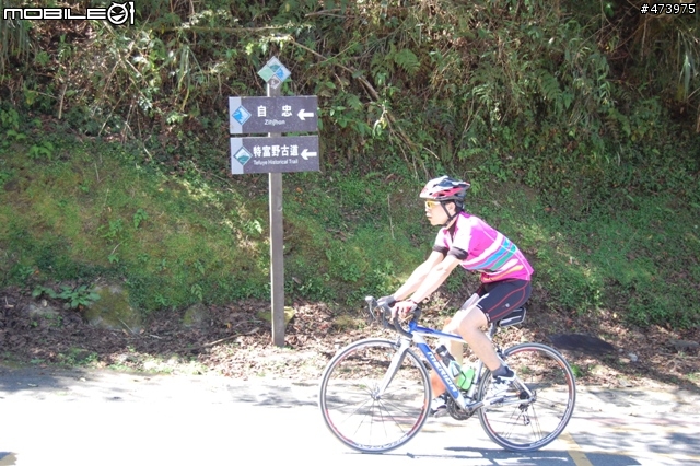 20120318探索台灣系列~阿里山之美 (照片)