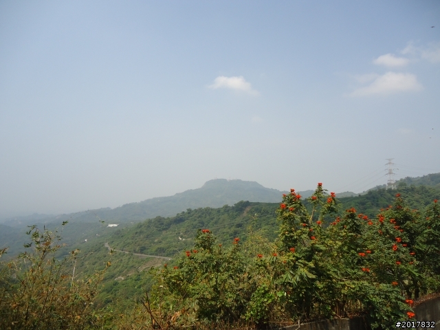 2012-3-16關仔嶺枕頭山