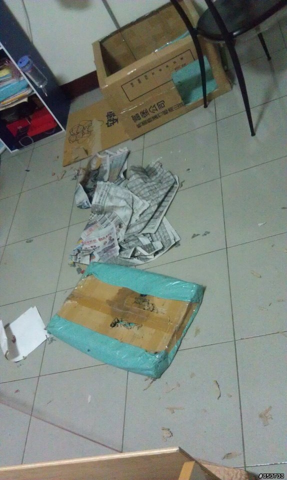 有沒有辦法讓過動的紅貴賓安靜一點乖一點