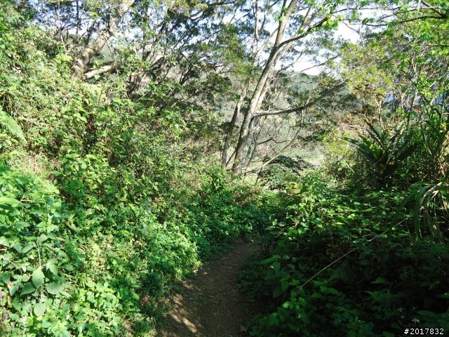 2012-3-5~3-6台21線部落之旅(麟趾山-望美山)馬奴多斯獵人古道