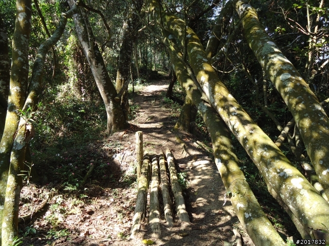 2012-3-5~3-6台21線部落之旅(麟趾山-望美山)馬奴多斯獵人古道