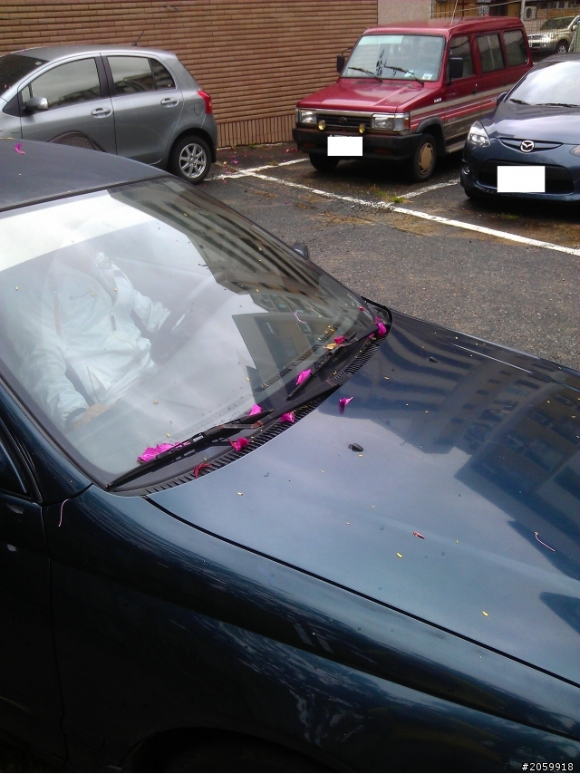 車子停在停車位，但是有很多落葉，生活上的法律糾紛，請教法律高手