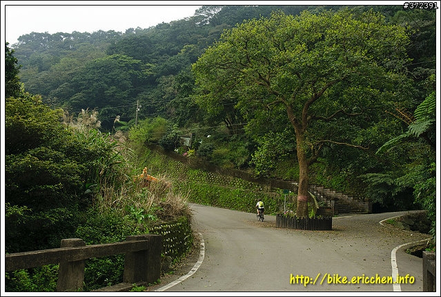 [Eric的單車日記] 紅櫻新綠 春山探秘 (天元宮滿開)