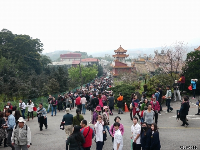 2012.03.15天元宮櫻花