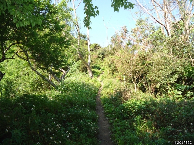 2012-3-5~3-6台21線部落之旅(麟趾山-望美山)馬奴多斯獵人古道
