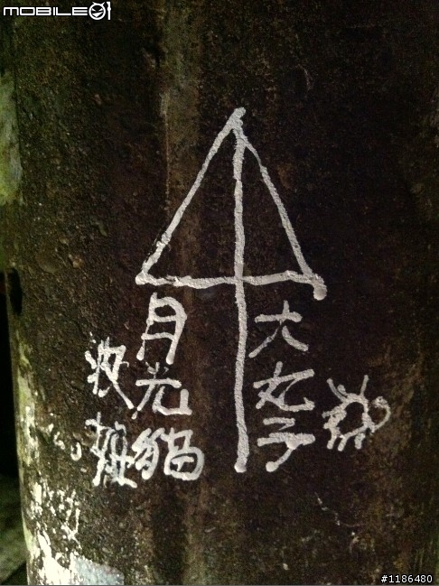 149白CT環島油耗分享