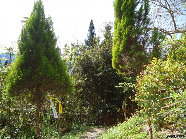 2012-3-5~3-6台21線部落之旅(麟趾山-望美山)馬奴多斯獵人古道