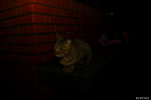 Panasonic LX5 - 0315晚上淡水拍拍,,歡迎各位大大給我指點