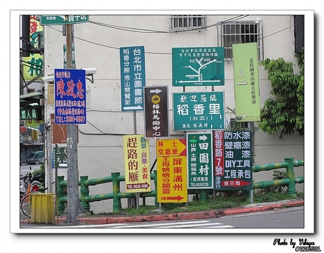 北投大屯里復興三路櫻花之旅...殘念