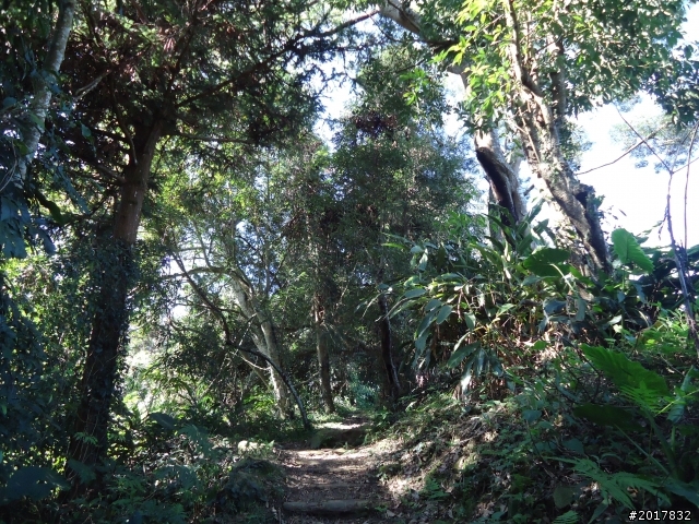 2012-3-5~3-6台21線部落之旅(麟趾山-望美山)馬奴多斯獵人古道