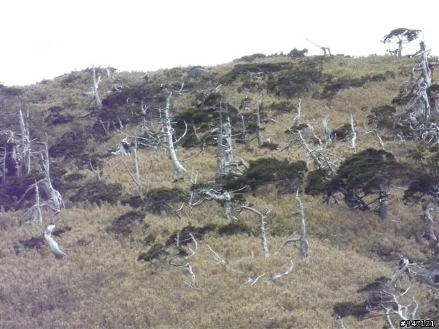 南湖大山第二集