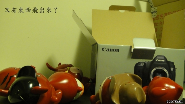 5D3(吳荻珊)之可愛開箱!來看看哦!