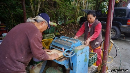  DIY簡單蓋鋼構木屋