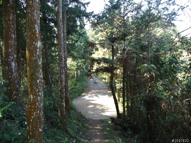 2012-3-5~3-6台21線部落之旅(麟趾山-望美山)馬奴多斯獵人古道