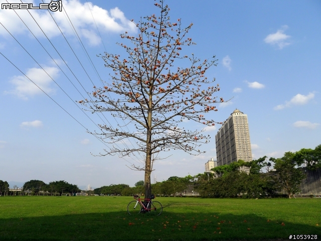 三峽熊空春遊記