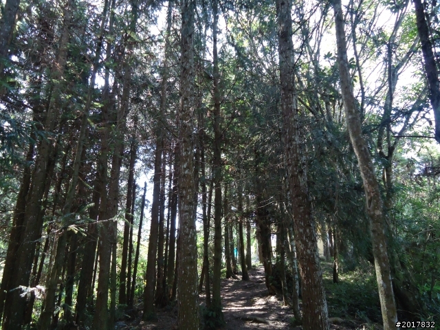 2012-3-5~3-6台21線部落之旅(麟趾山-望美山)馬奴多斯獵人古道