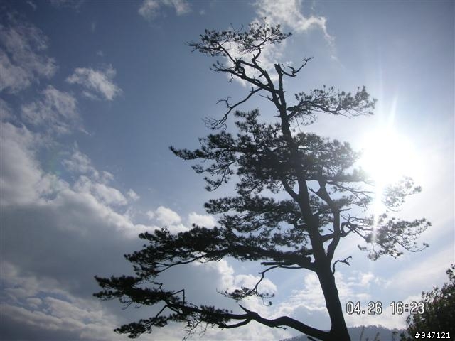 南湖大山第二集