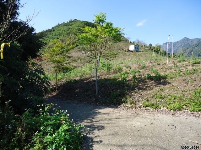 2012-3-5~3-6台21線部落之旅(麟趾山-望美山)馬奴多斯獵人古道