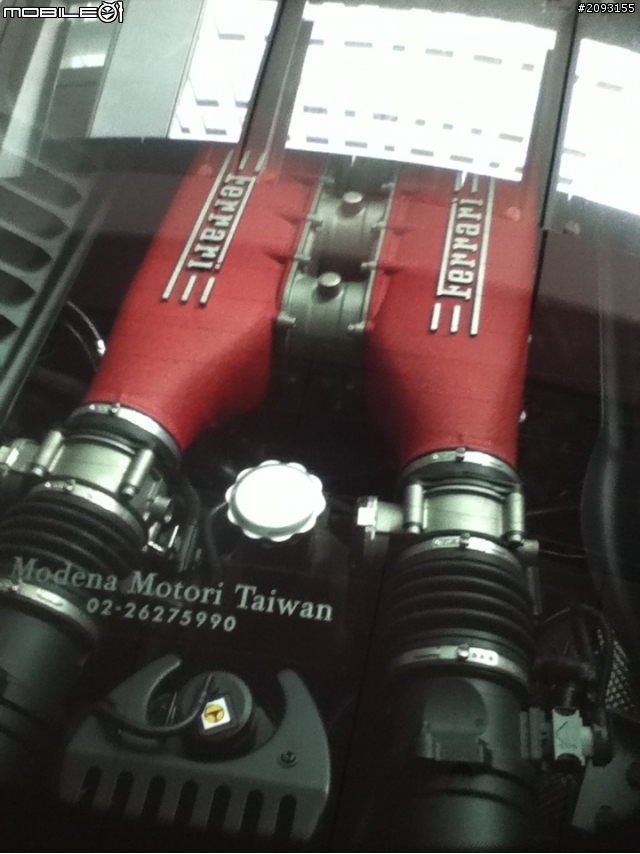 大小牛
