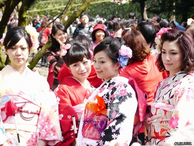 2012.03.15天元宮櫻花