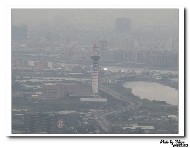 北投大屯里復興三路櫻花之旅...殘念