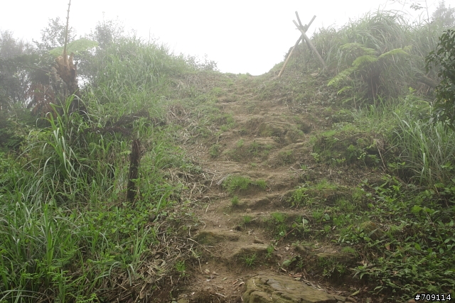 [ 郊山 ] 大尖山順走四分尾山之殘櫻行