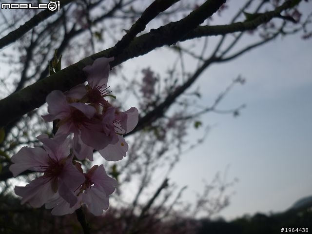 20120304-久違了，北宜公路