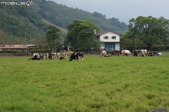 2012 給自己的生日禮物(環台獨跑1253km~)