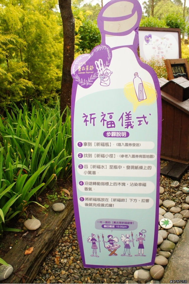 不跟櫻花潮~~明德薰衣草森林隨拍(圖多)