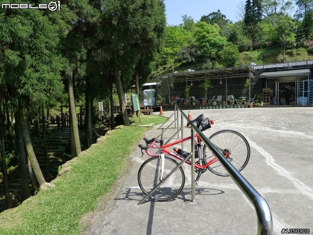 三峽熊空春遊記