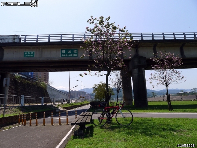 三峽熊空春遊記