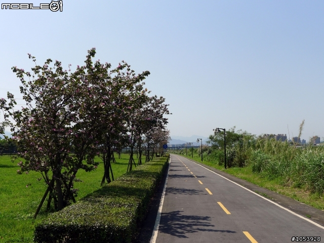三峽熊空春遊記